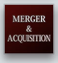MERGERS AND ACQUISITIONS